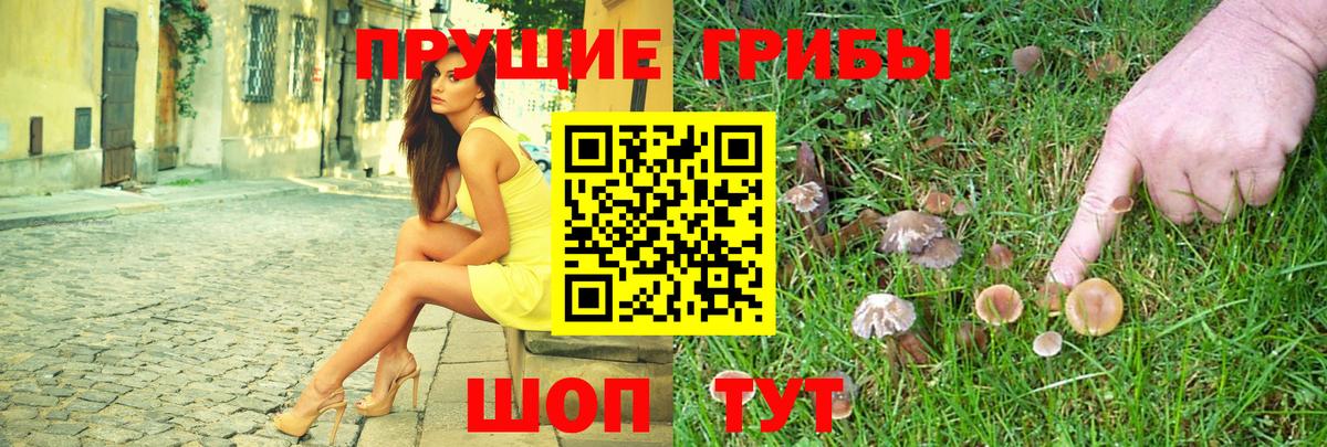 Галлюциногенные грибы Psilocybe  Вход с VPN  Златоуст 